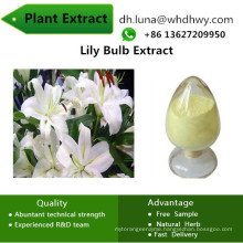20% Polysaccharide Aid for Falling Asleep Lily Bulb Extract